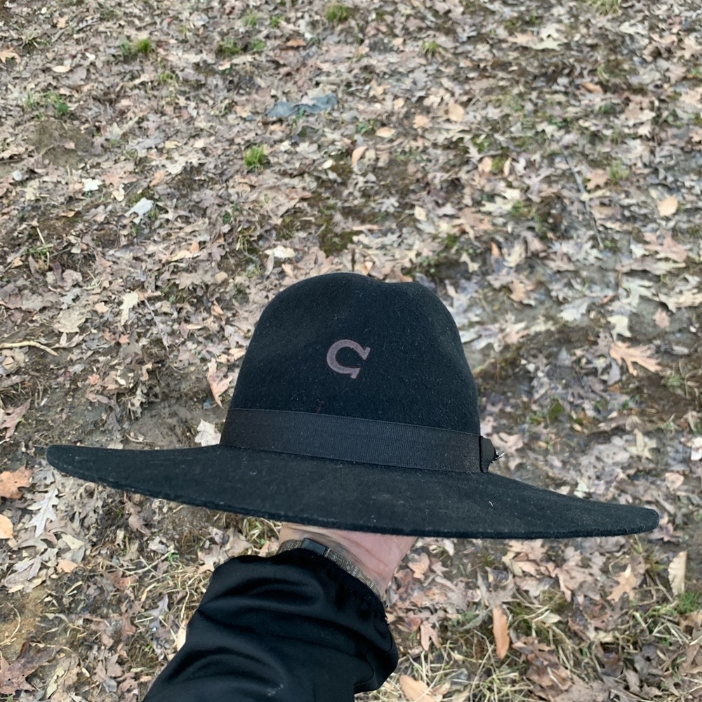 Charlie 1 horse